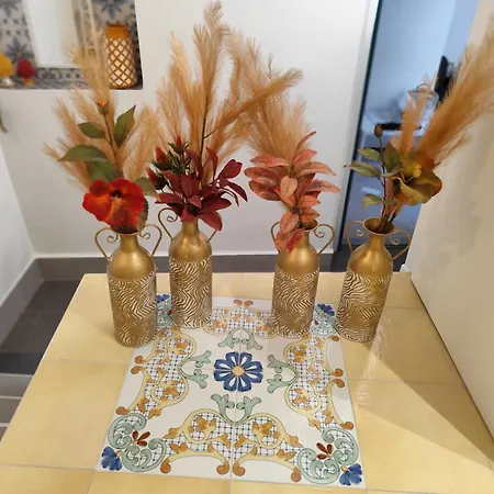 Gasthuis Opera Prima 28 4*